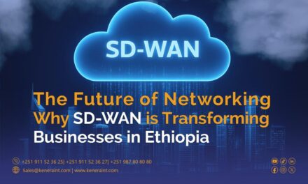 The Future of Networking: Why SD-WAN is Transforming Businesses in Ethiopia