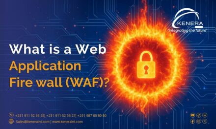 What is a Web Application Firewall (WAF) and Why Every Business Needs One